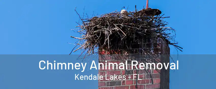 Chimney Animal Removal Kendale Lakes - FL