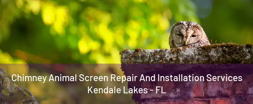 Chimney Animal Screen Repair And Installation Services Kendale Lakes - FL