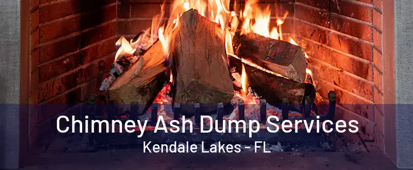 Chimney Ash Dump Services Kendale Lakes - FL