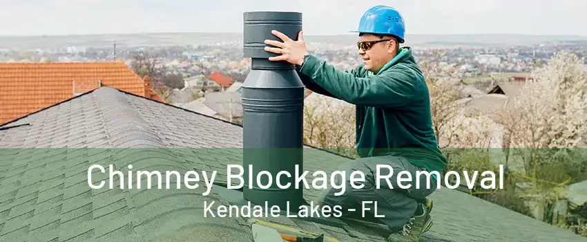 Chimney Blockage Removal Kendale Lakes - FL