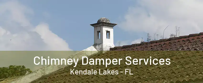 Chimney Damper Services Kendale Lakes - FL