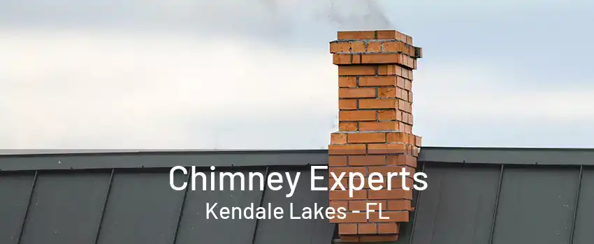 Chimney Experts Kendale Lakes - FL