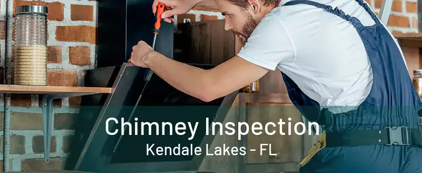 Chimney Inspection Kendale Lakes - FL
