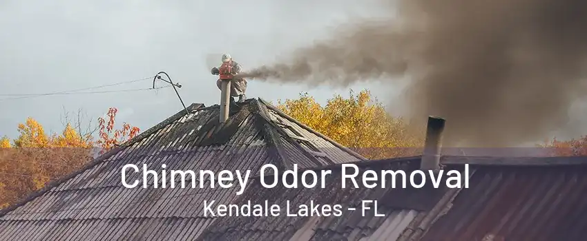 Chimney Odor Removal Kendale Lakes - FL