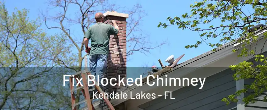 Fix Blocked Chimney Kendale Lakes - FL