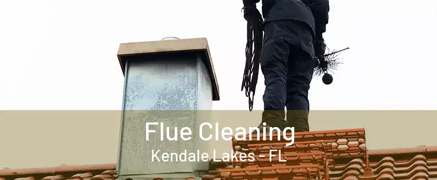 Flue Cleaning Kendale Lakes - FL