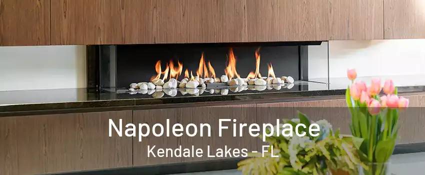 Napoleon Fireplace Kendale Lakes - FL